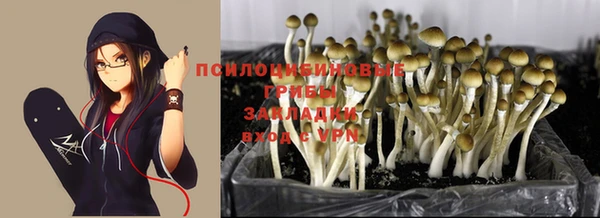 MDMA Богданович