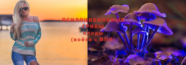 винт Богородицк