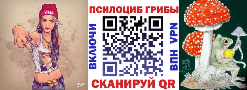 Купить  Тогучин  Псилоцибиновые грибы Magic Shrooms 