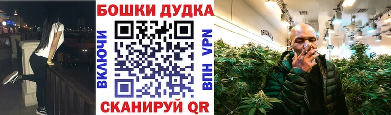 Шишки марихуана сатива  Купить где  Тогучин 